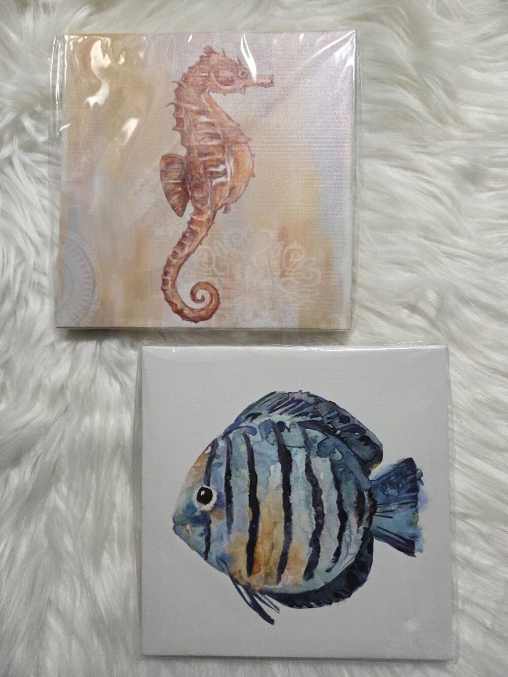 Seahorse & Fish Wall Art Set